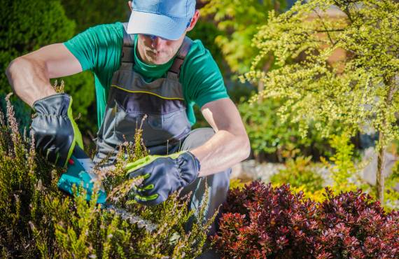 Nirmal Enterprises | Gardening Staff